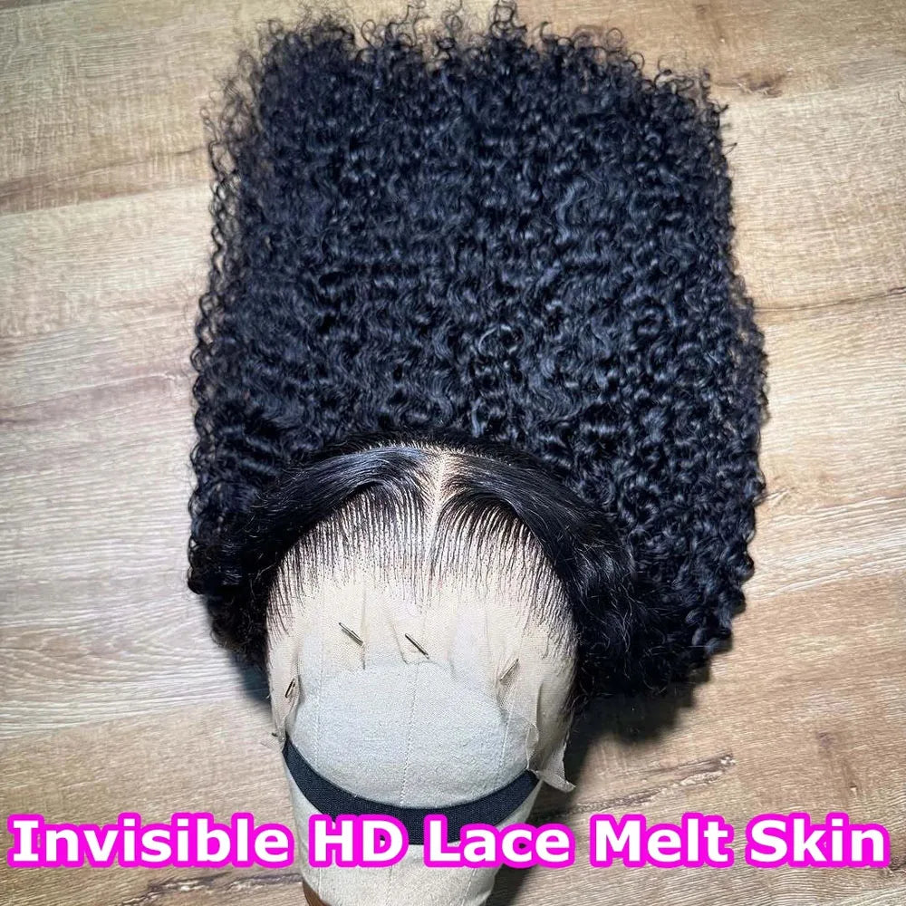 Kinky Curly Wave Brazilian Wig With Baby Hair