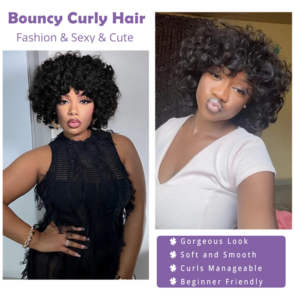 Afro Rose Curly Funmi Wigs