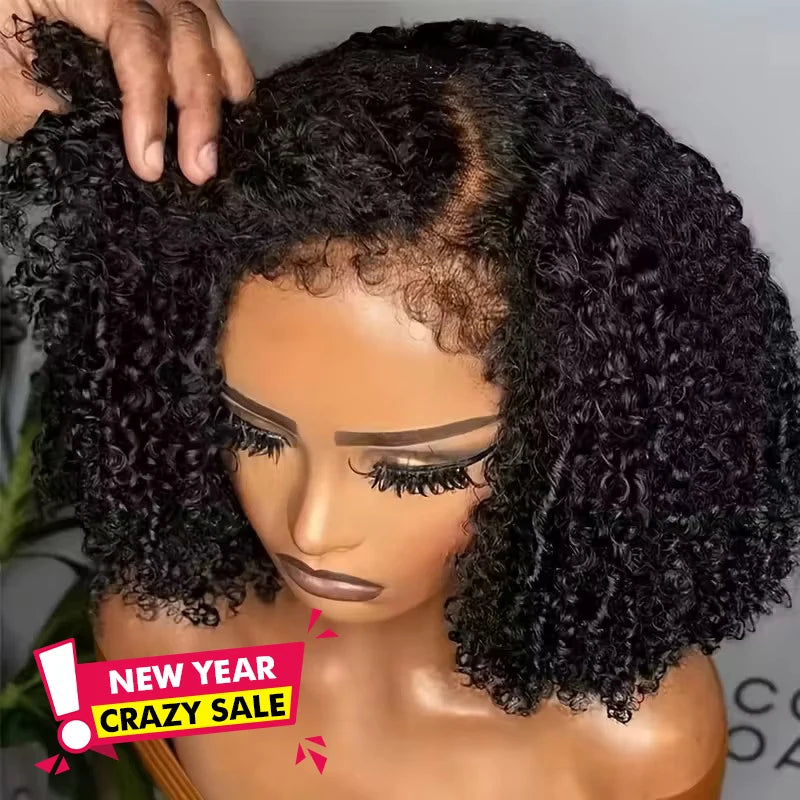 HD Lace Edges Kinky Curly Human Hair Wigs