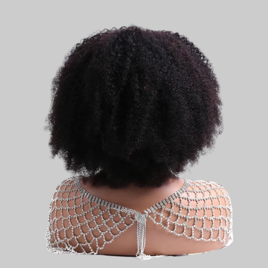Afro Kinky Curly Human Hair Wigs