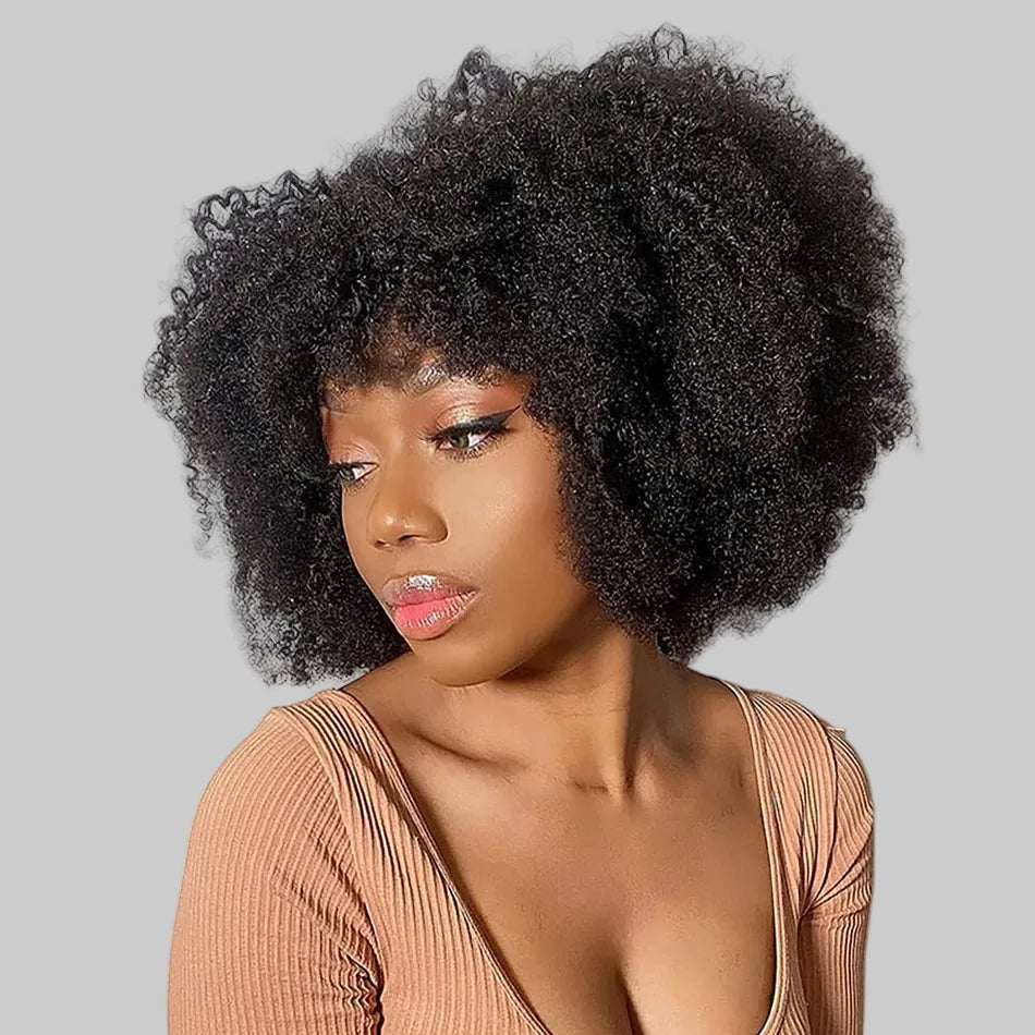 Afro Kinky Curly Human Hair Wigs