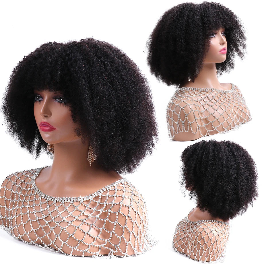 Afro Kinky Curly Human Hair Wigs