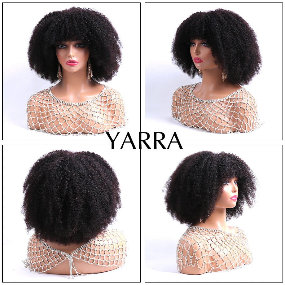 Afro Kinky Curly Human Hair Wigs