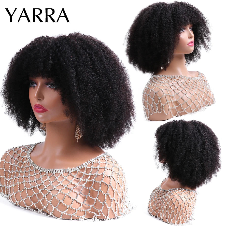 Afro Kinky Curly Human Hair Wigs