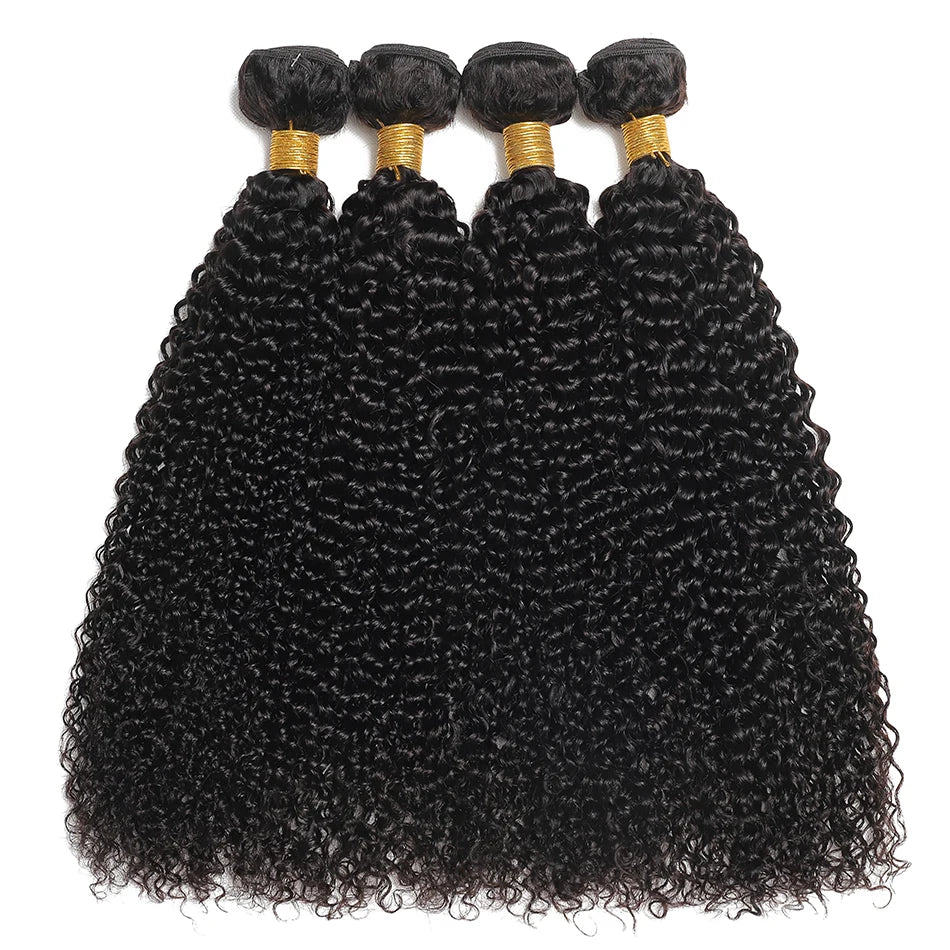 Indian Kinky Curly Human Hair Bundles