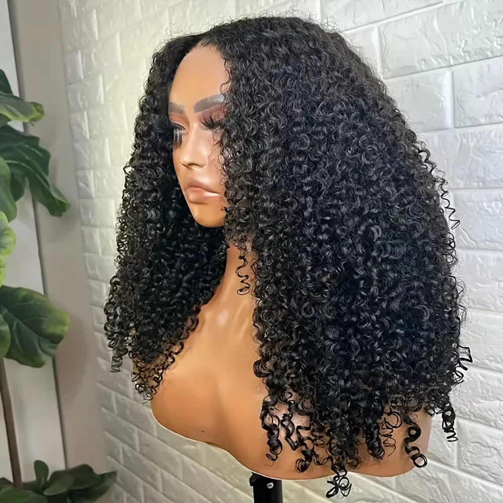 Kinky Curly Glueless HD Wigs