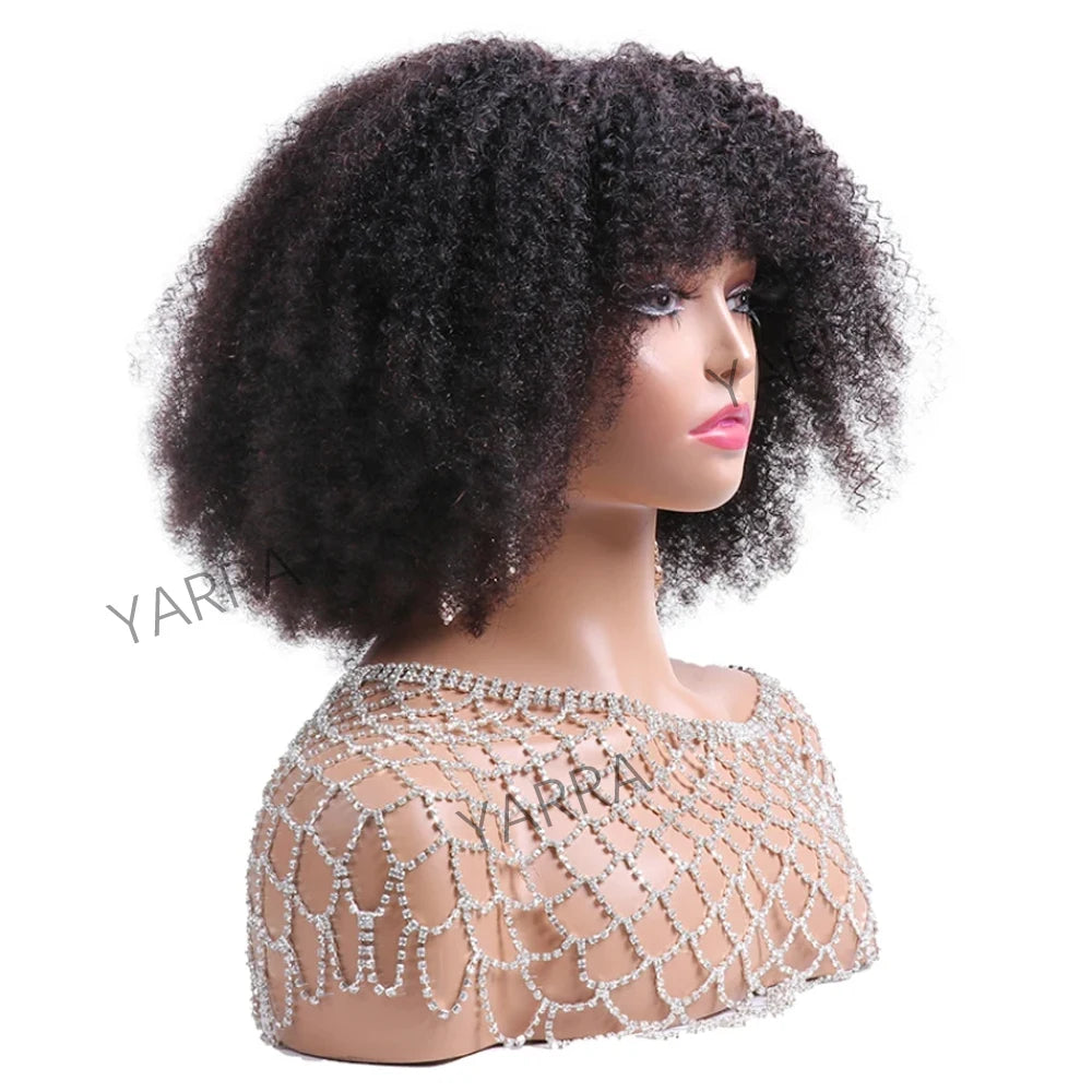 Afro Kinky Curly Human Hair Wigs