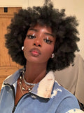 Afro Bouncy Curl Wigs