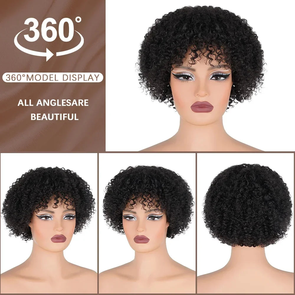 Afro Kinky Curly Bob Wig With Bangs
