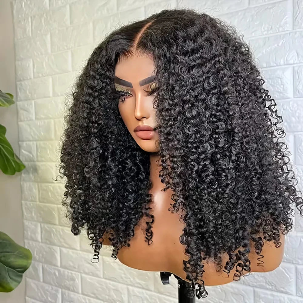 Kinky Curly Glueless HD Wigs