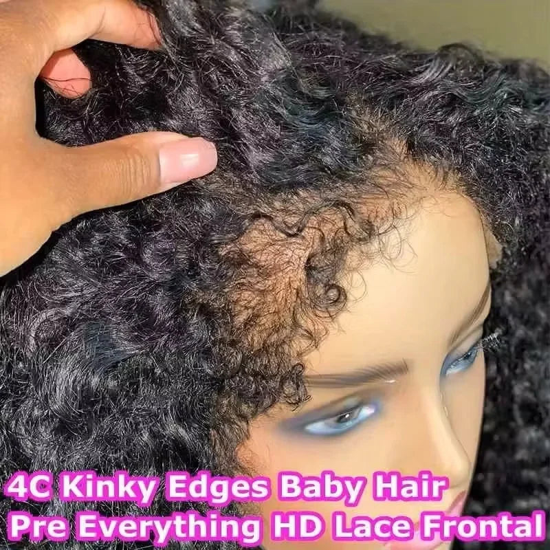 HD Lace Edges Kinky Curly Human Hair Wigs