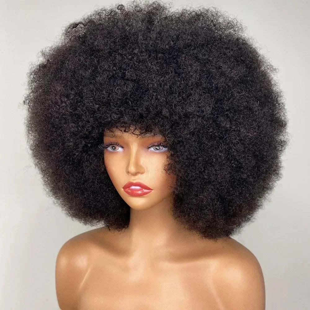 Glueless Afro Kinky Curly Wig