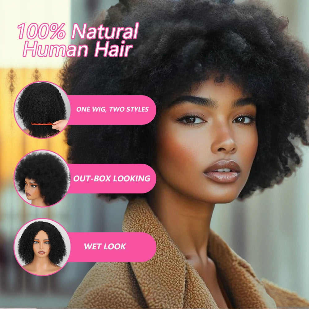 Afro Bouncy Curl Wigs