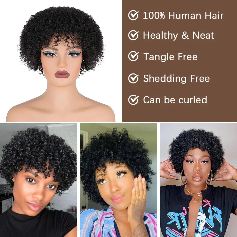 Afro Kinky Curly Bob Wig With Bangs