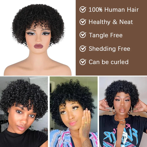 Afro Kinky Curly Bob Wig With Bangs