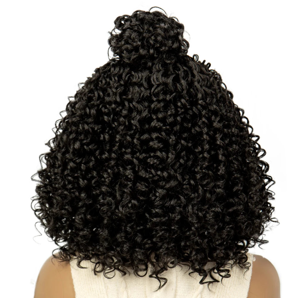 Braided Afro Kinky Curly Hair Wig