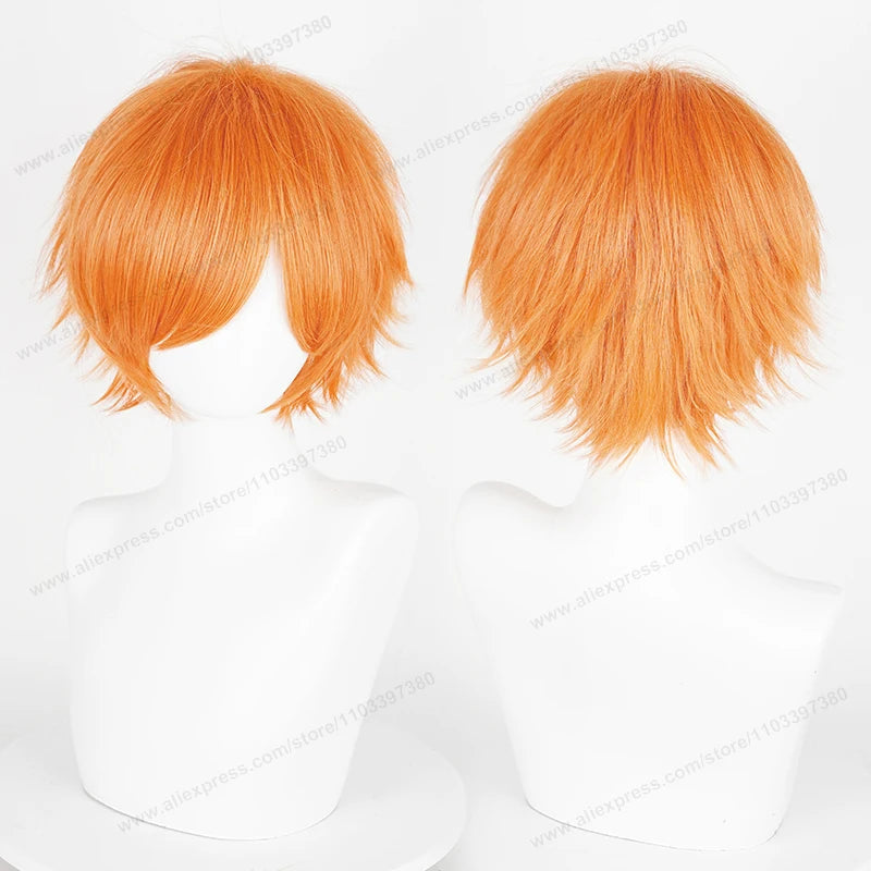 Anime Short Straight Cosplay Wig