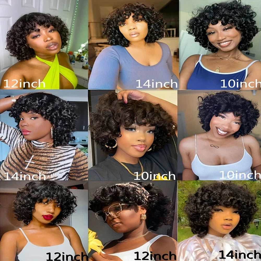Afro Rose Curly Funmi Wigs