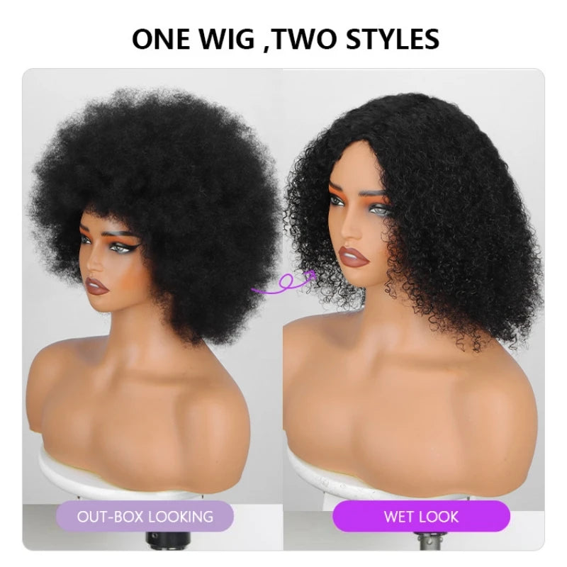 Afro Bouncy Curl Wigs