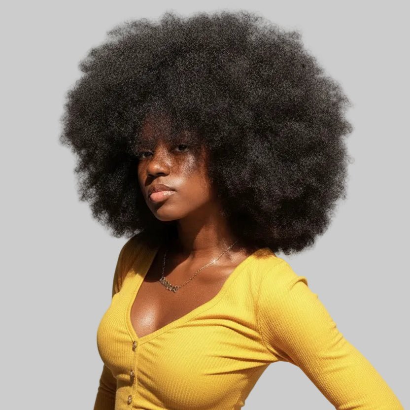Short Afro Kinky Curly Brazilian Fluffy Wig