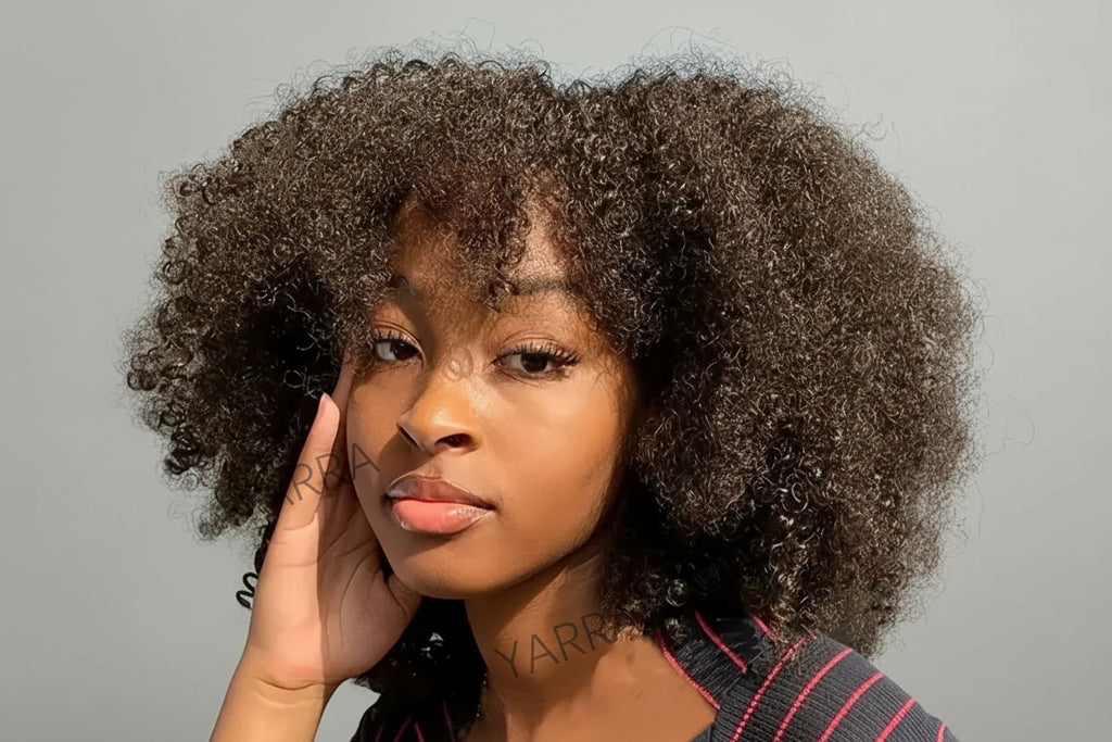 Afro Kinky Curly Human Hair Wigs