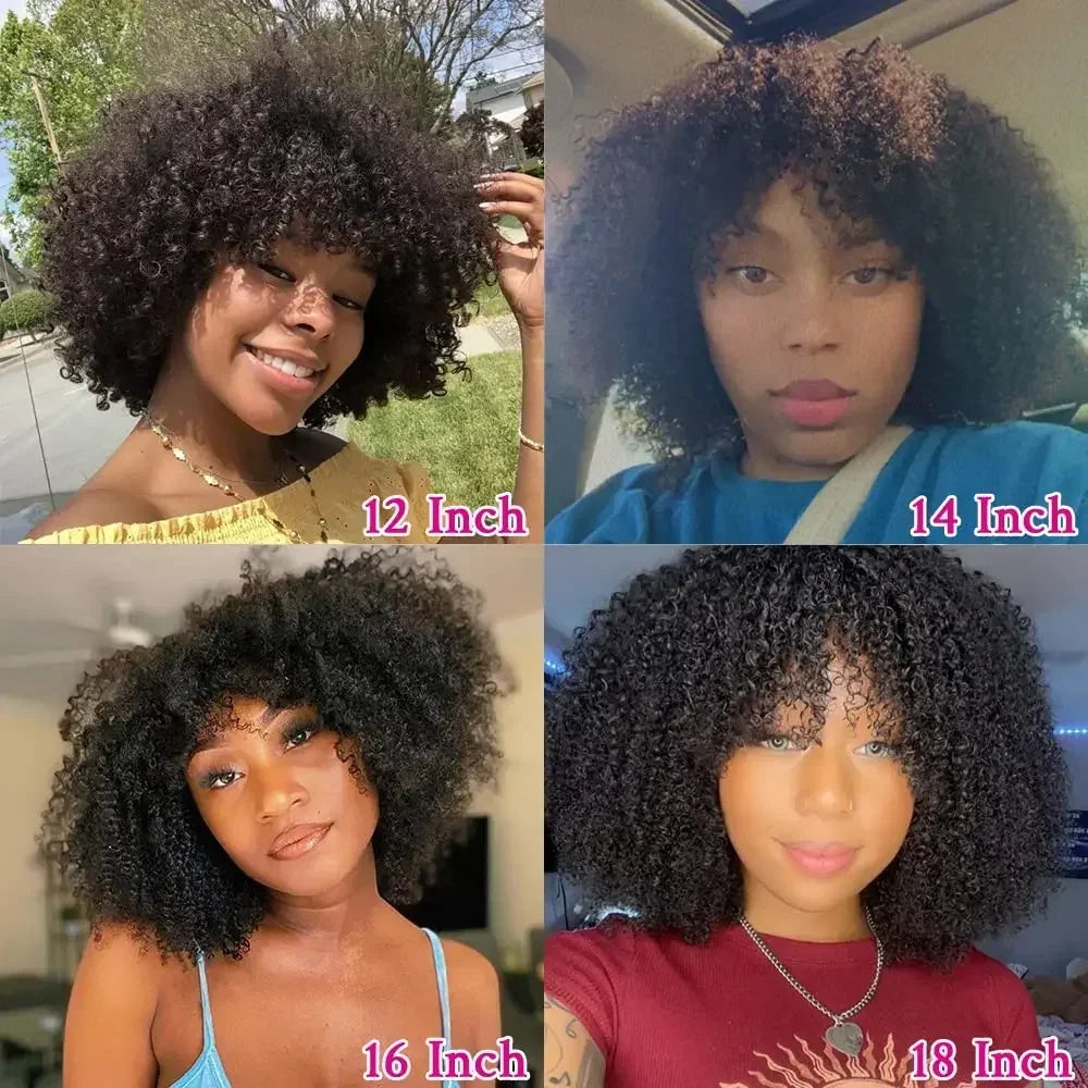 Afro Kinky Curly Wigs with Bangs