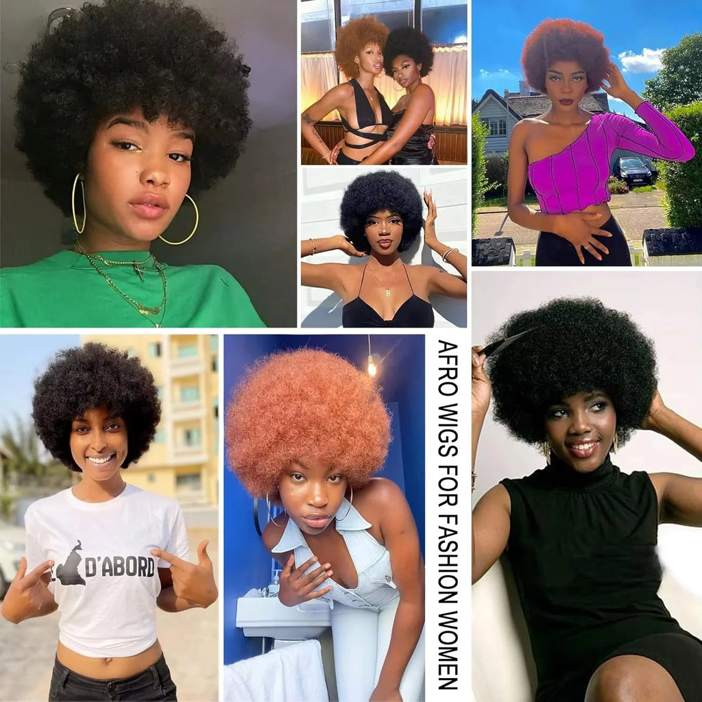 Afro Bouncy Curl Wigs