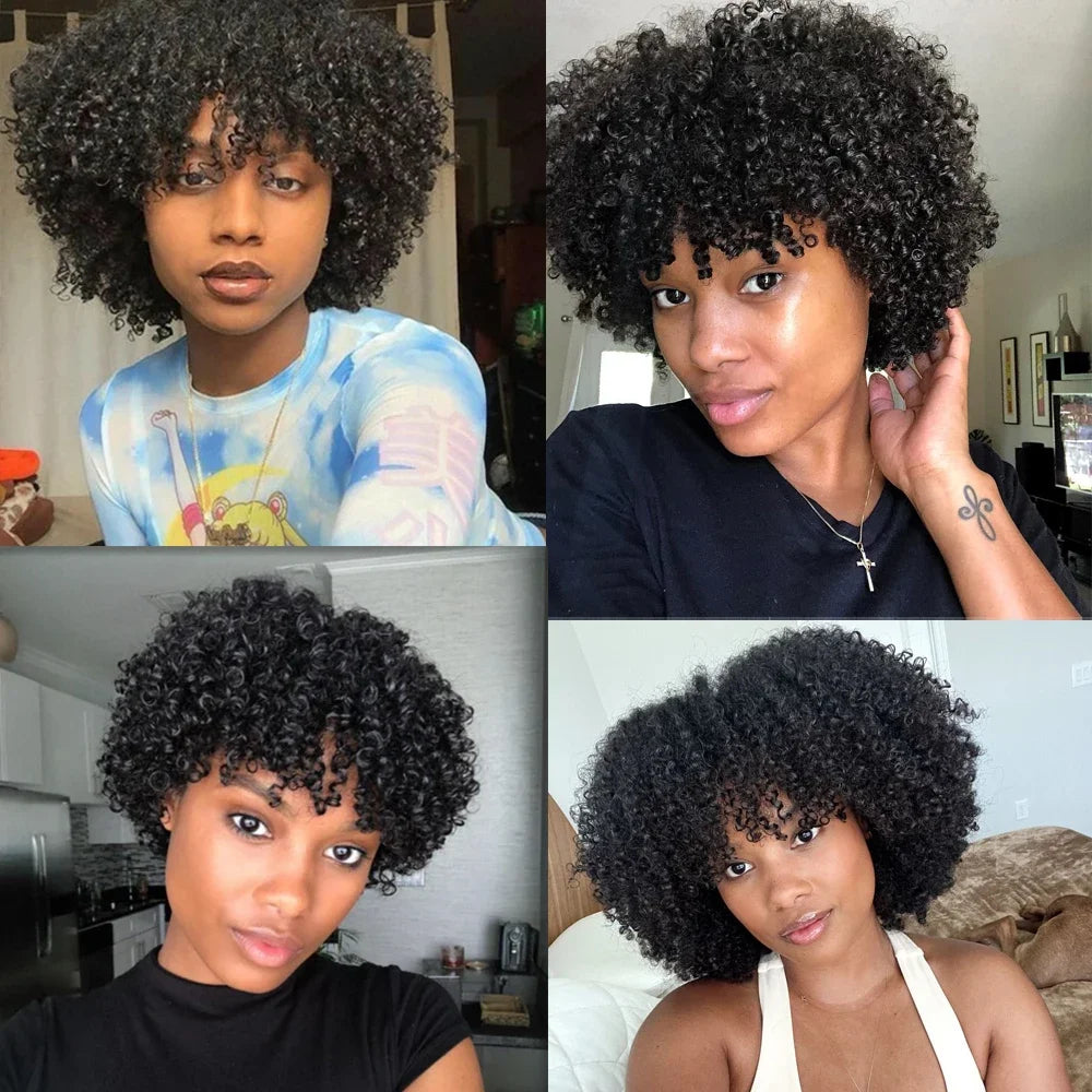 Afro Kinky Curly Bob Wig With Bangs
